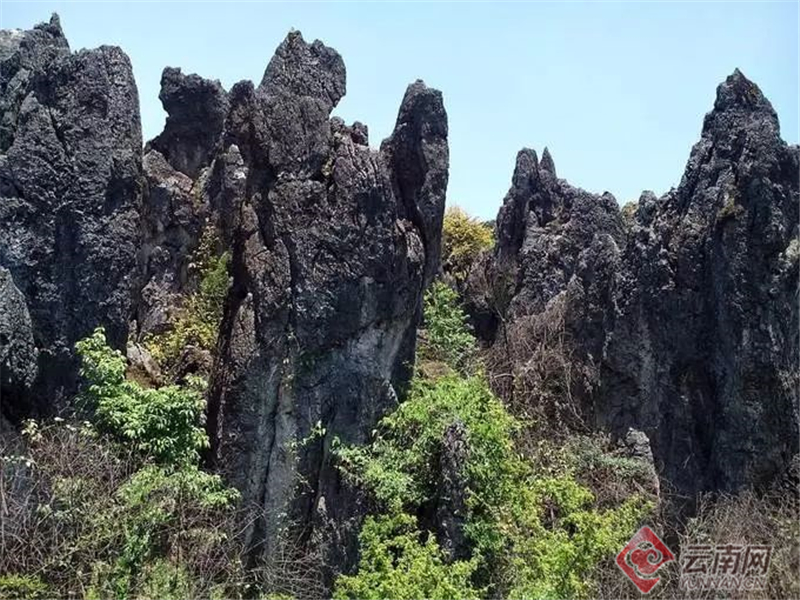 早安雲南丨玉溪龍馬山景區:龍馬騰霄絕勝景,山中深藏白玉城