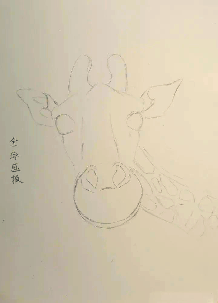 长颈鹿素描绘画技巧与步骤详解