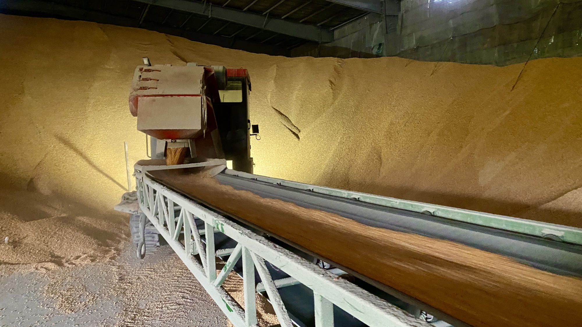 「最美巾帼卖粮人」兰辉:农家女扎根黑土地卖好粮