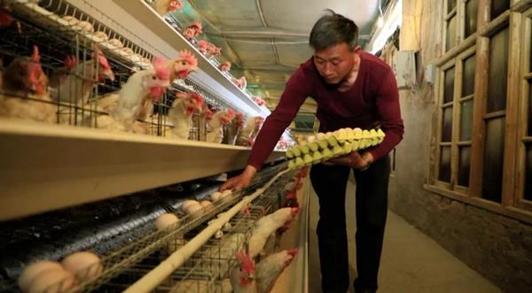 东安周松柏:农民代表 带富农民