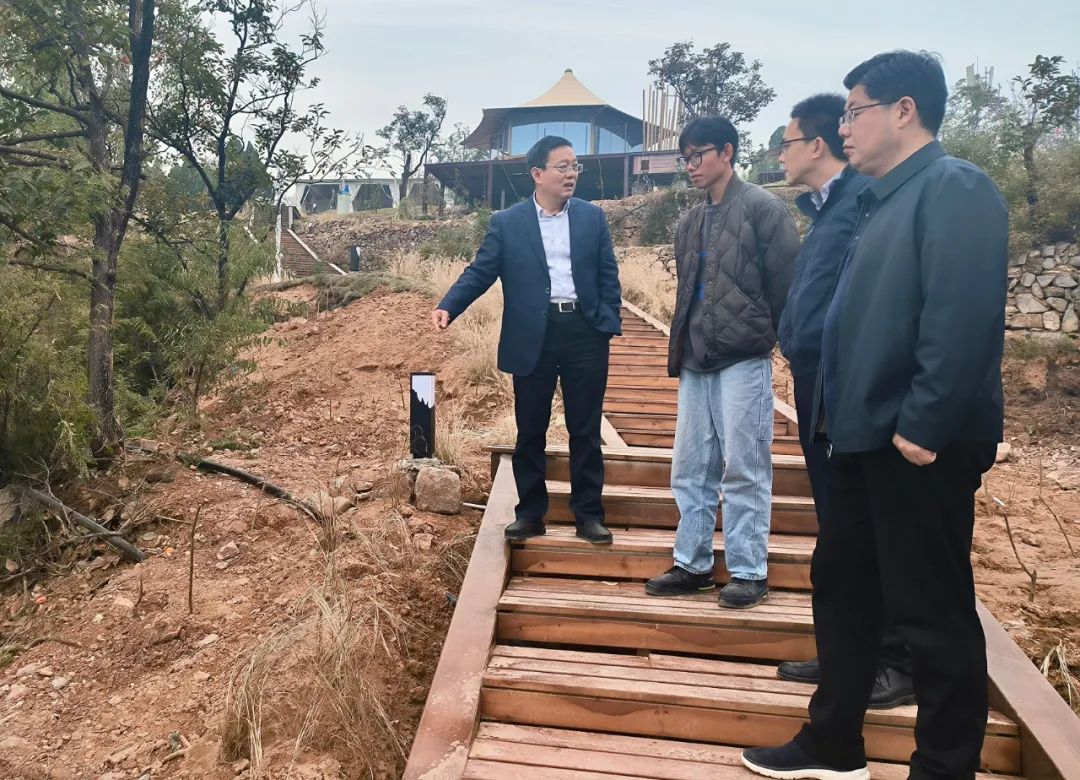 中站区委书记董红倜调研文旅项目建设工作