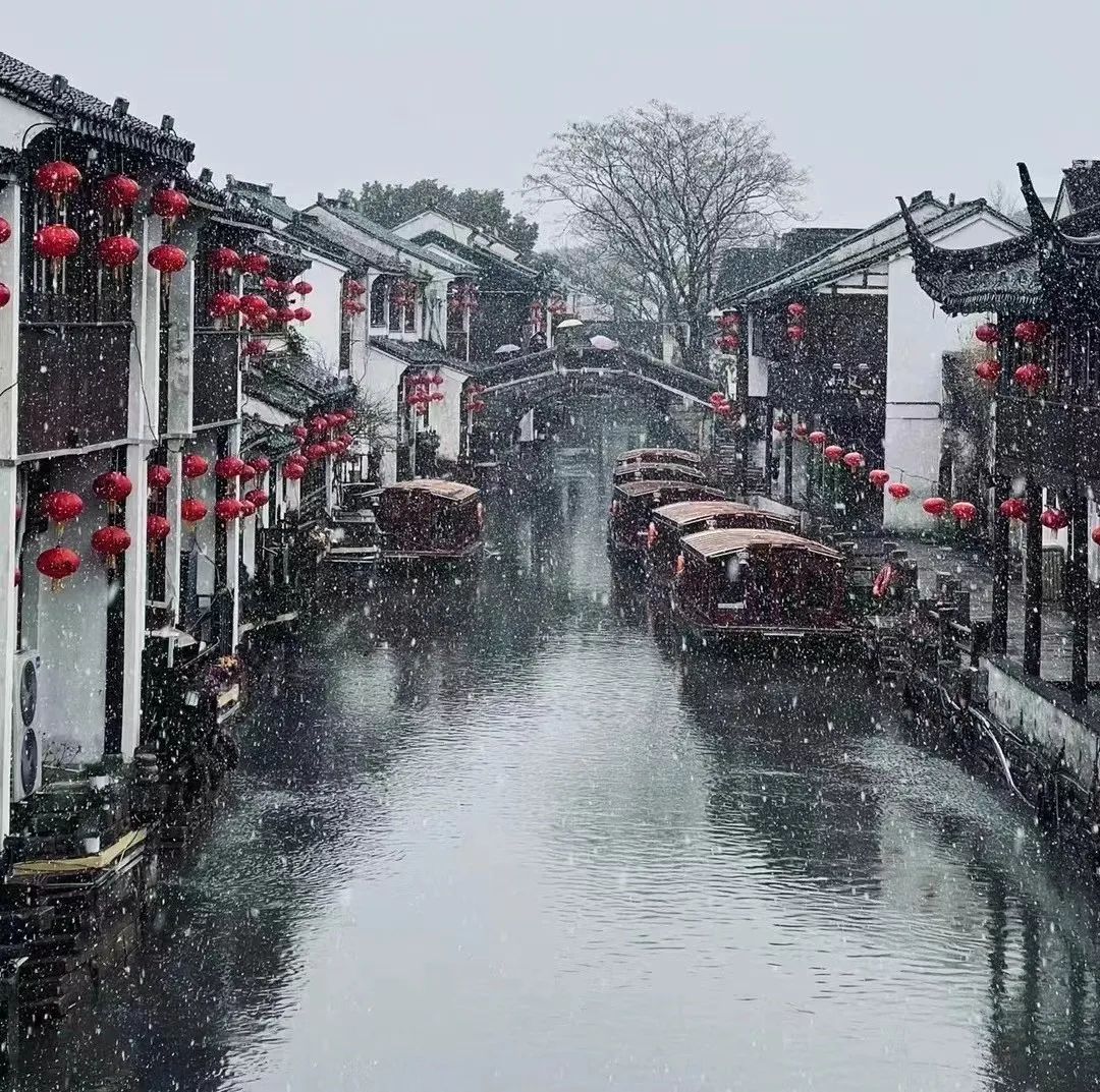 人的一辈子,一定要去感受一次下雪的苏州