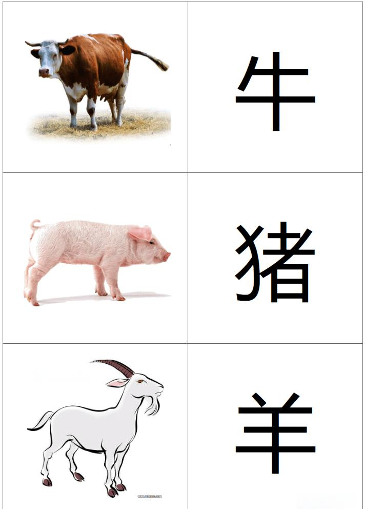 幼龄宝宝汉字启蒙必备:1000张识字卡片配图