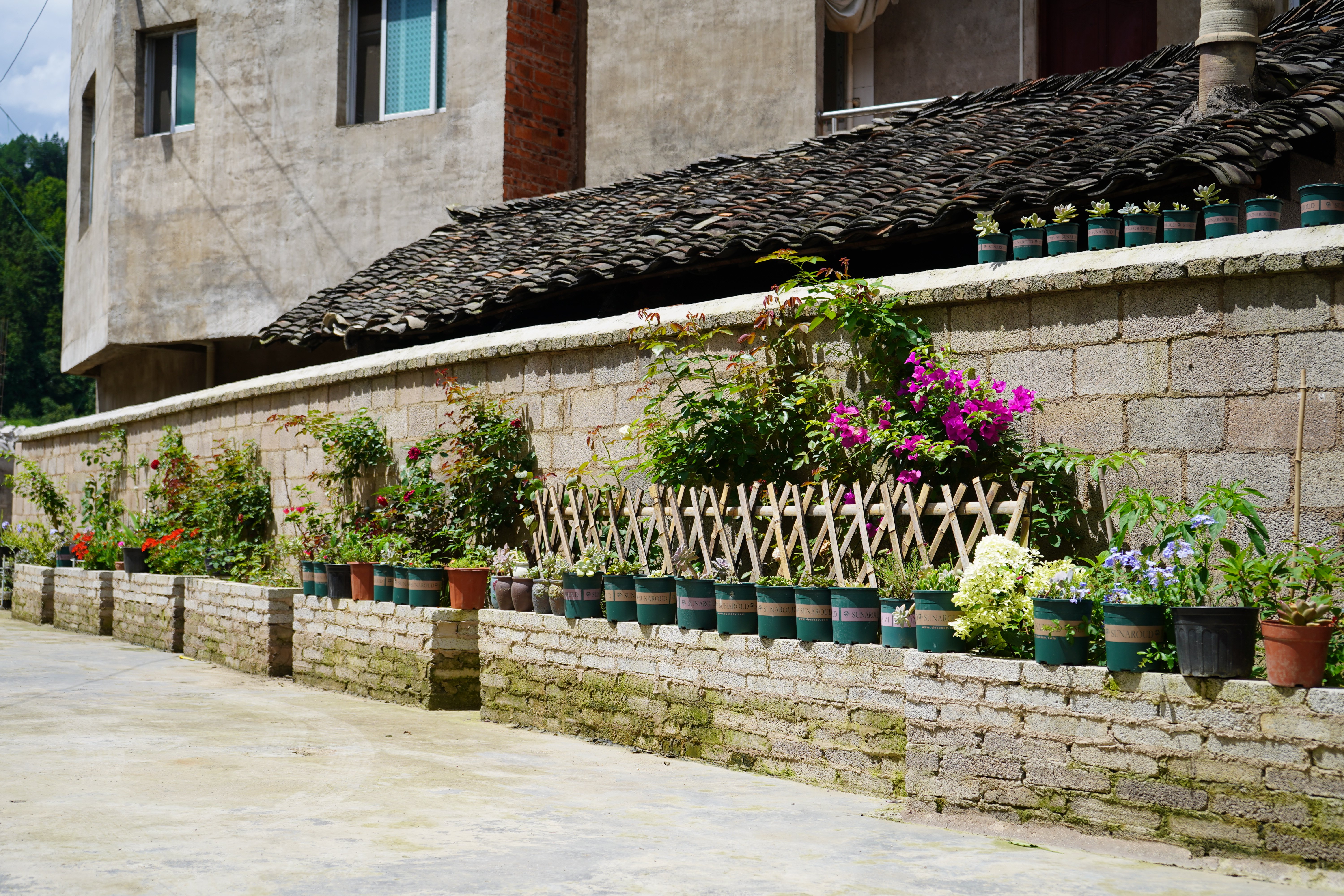 岑巩县注溪镇:乡村善治新路径 让村寨"内外兼修"