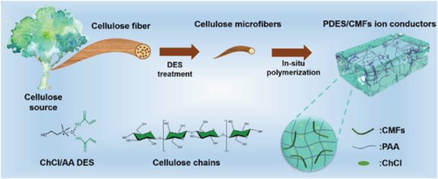 由深共晶溶剂水解纤维素微纤维增强的坚韧和超拉伸无液体离子导体