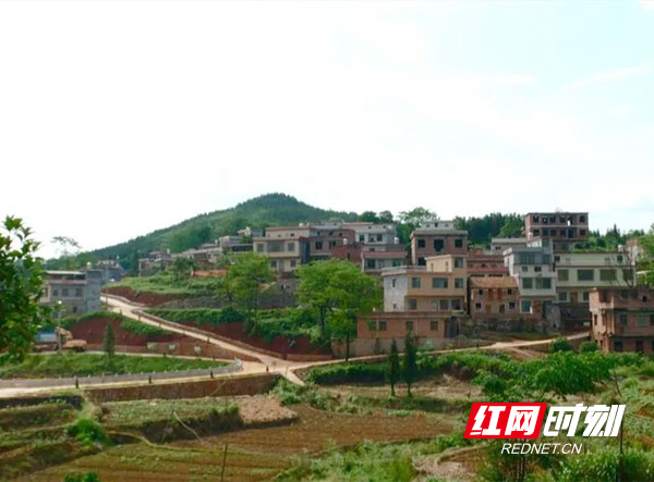 临武瓦石村:兴产业 美乡村