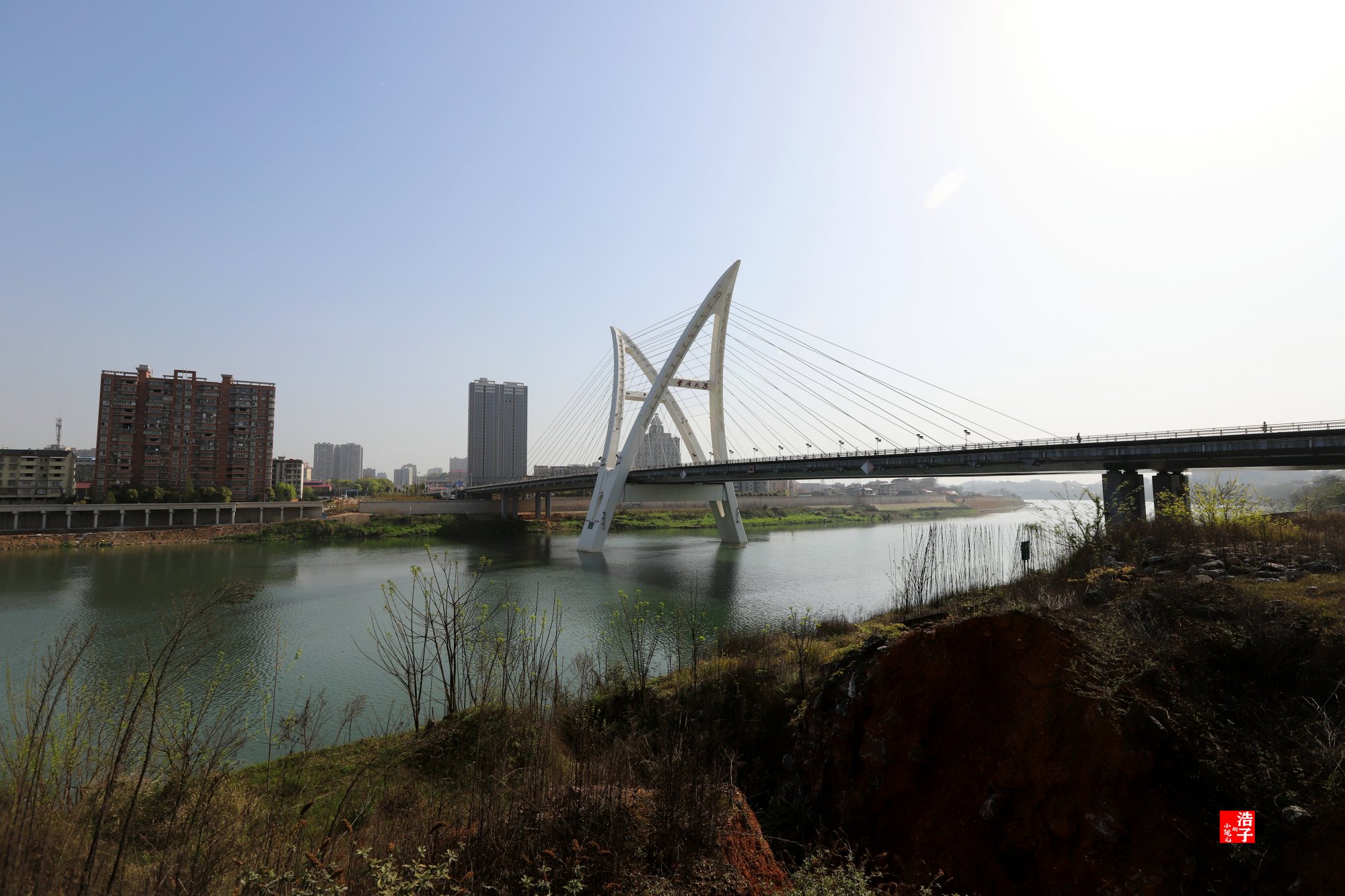 一桥横跨南北,资江两岸飞彩虹,邵阳市雪峰大桥(掠影)