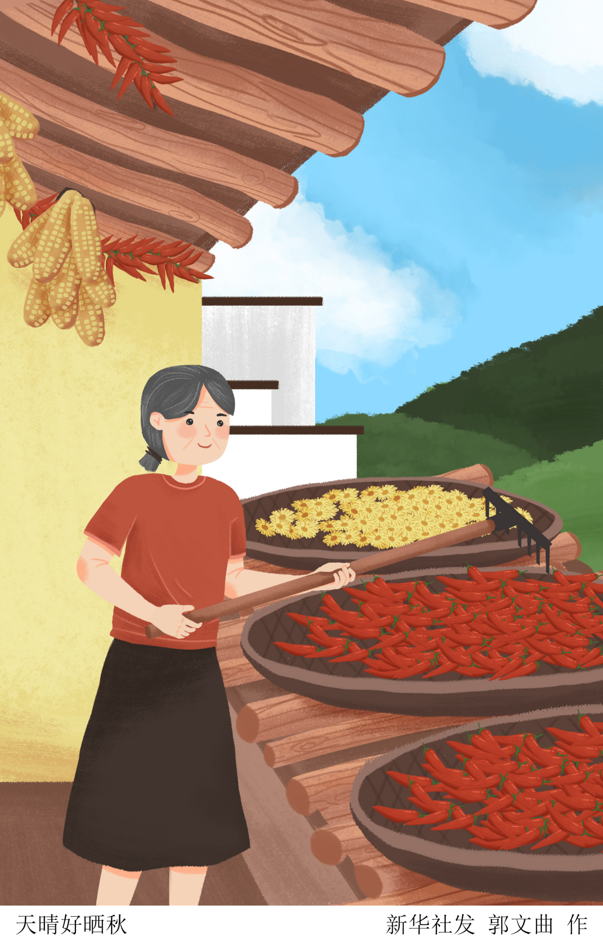 (图表·插画)「二十四节气·立秋」天晴好晒秋