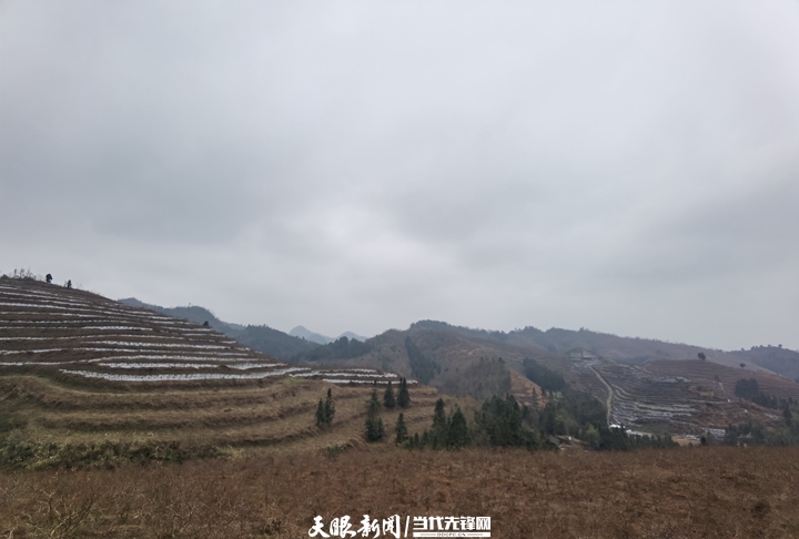 「四新四化蹲点采访」凯里市碧波镇:山头种满"致富果"