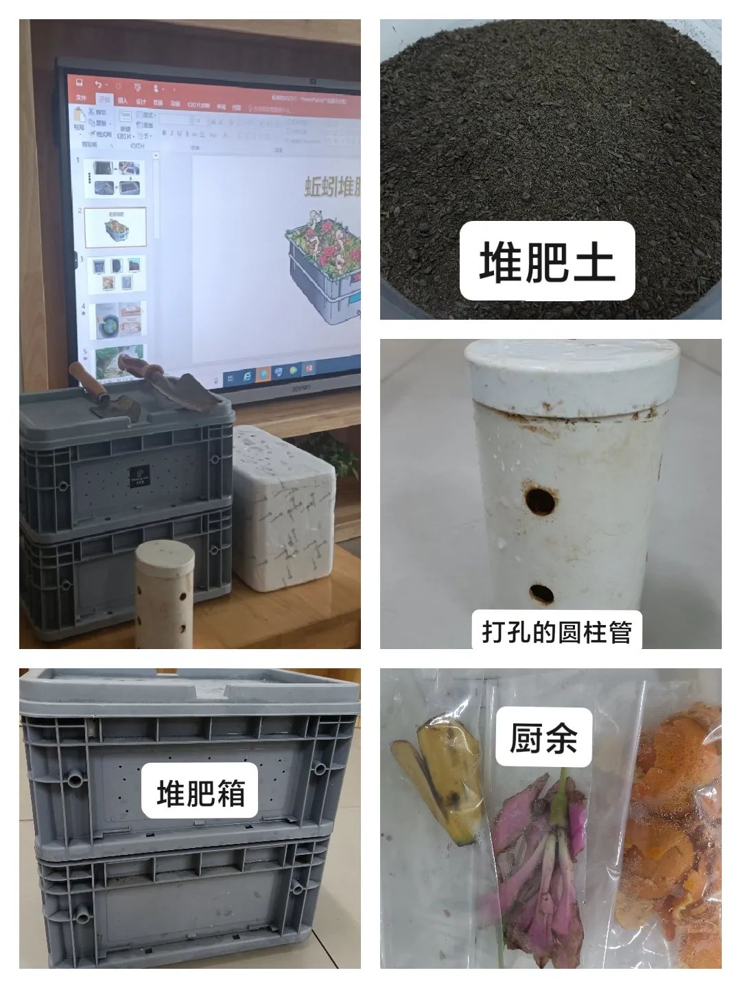 蚯蚓干制作方法图片