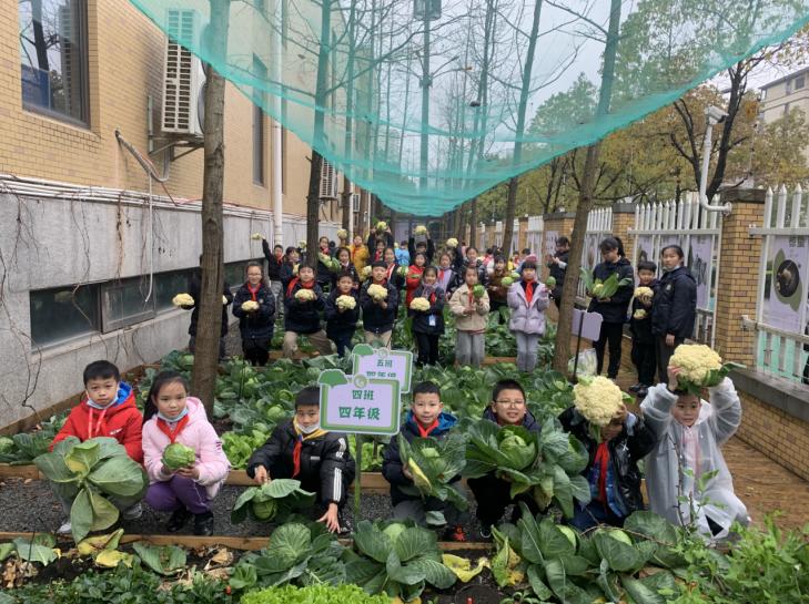 杭州市临平第三小学:花式"作业餐",跳动"新寒假"