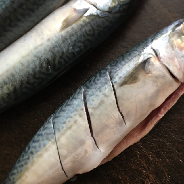 香煎花仙鱼,肉质细嫩,鲜美下饭