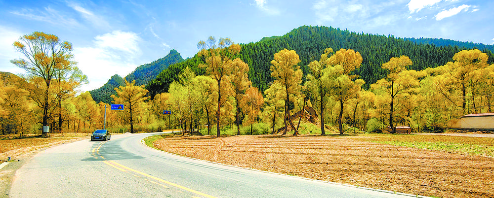 春季岗青公路美如画