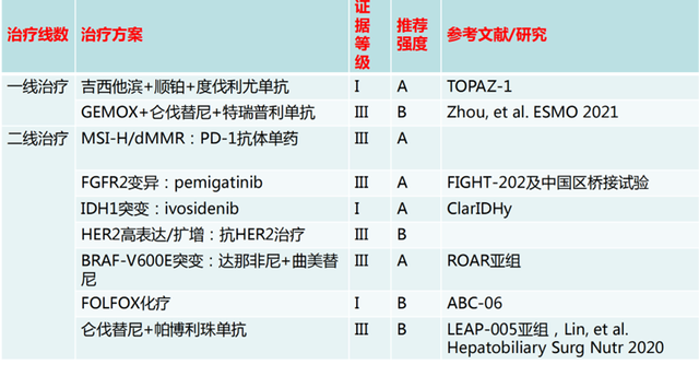 史颖弘教授:肝内胆管癌的外科综合治疗中山经验分享