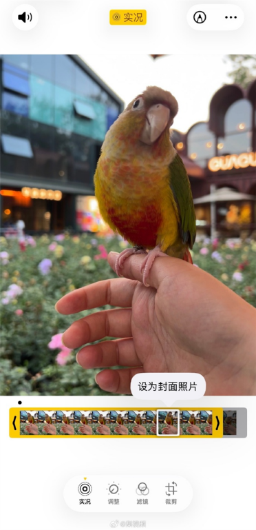 苹果实况图被指精准选丑！客服回应：实况定格是系统判断