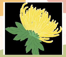 丧葬花艺——花圈与花篮的制作技巧与流程
