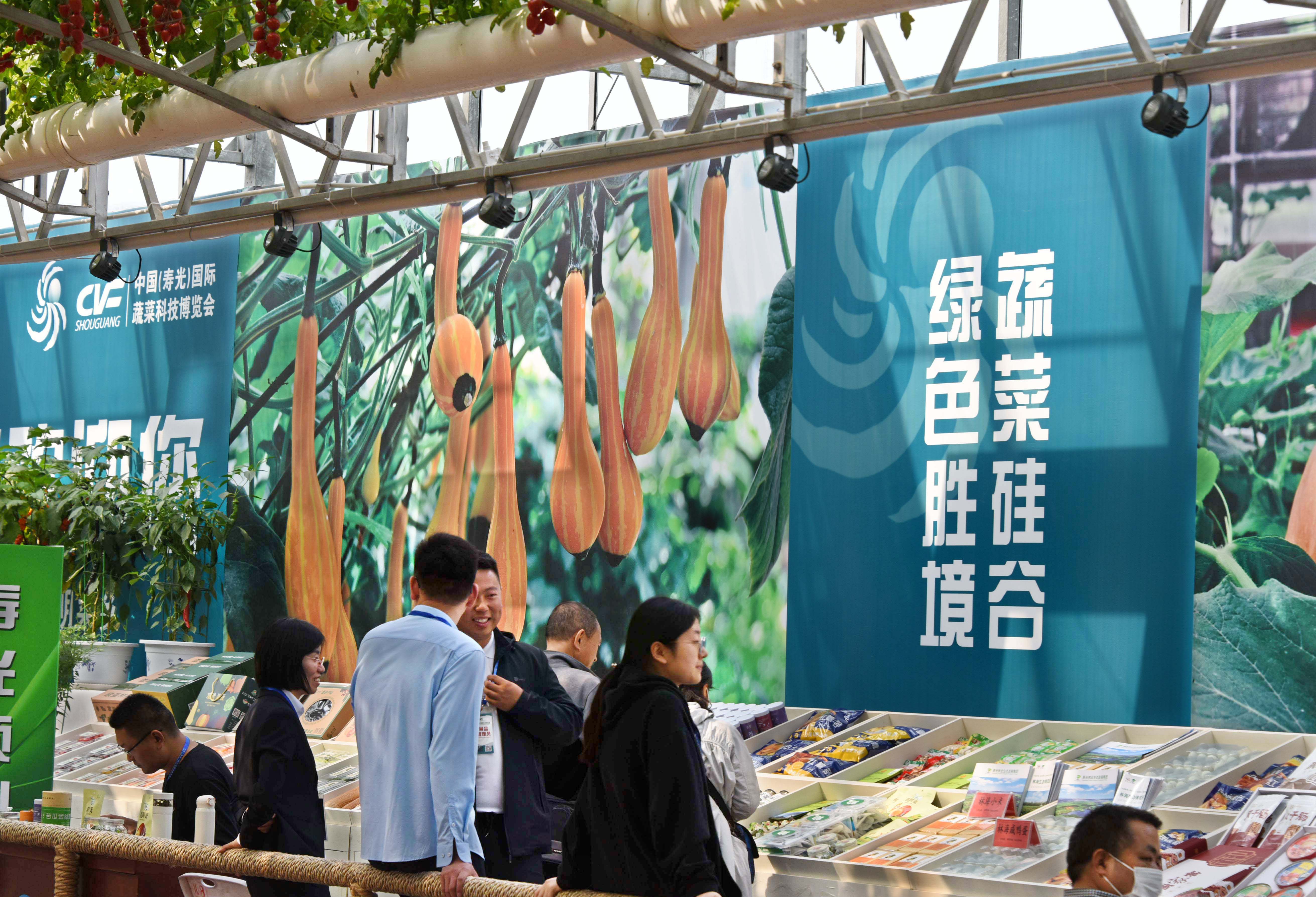 寿光蔬菜博览会简笔画图片