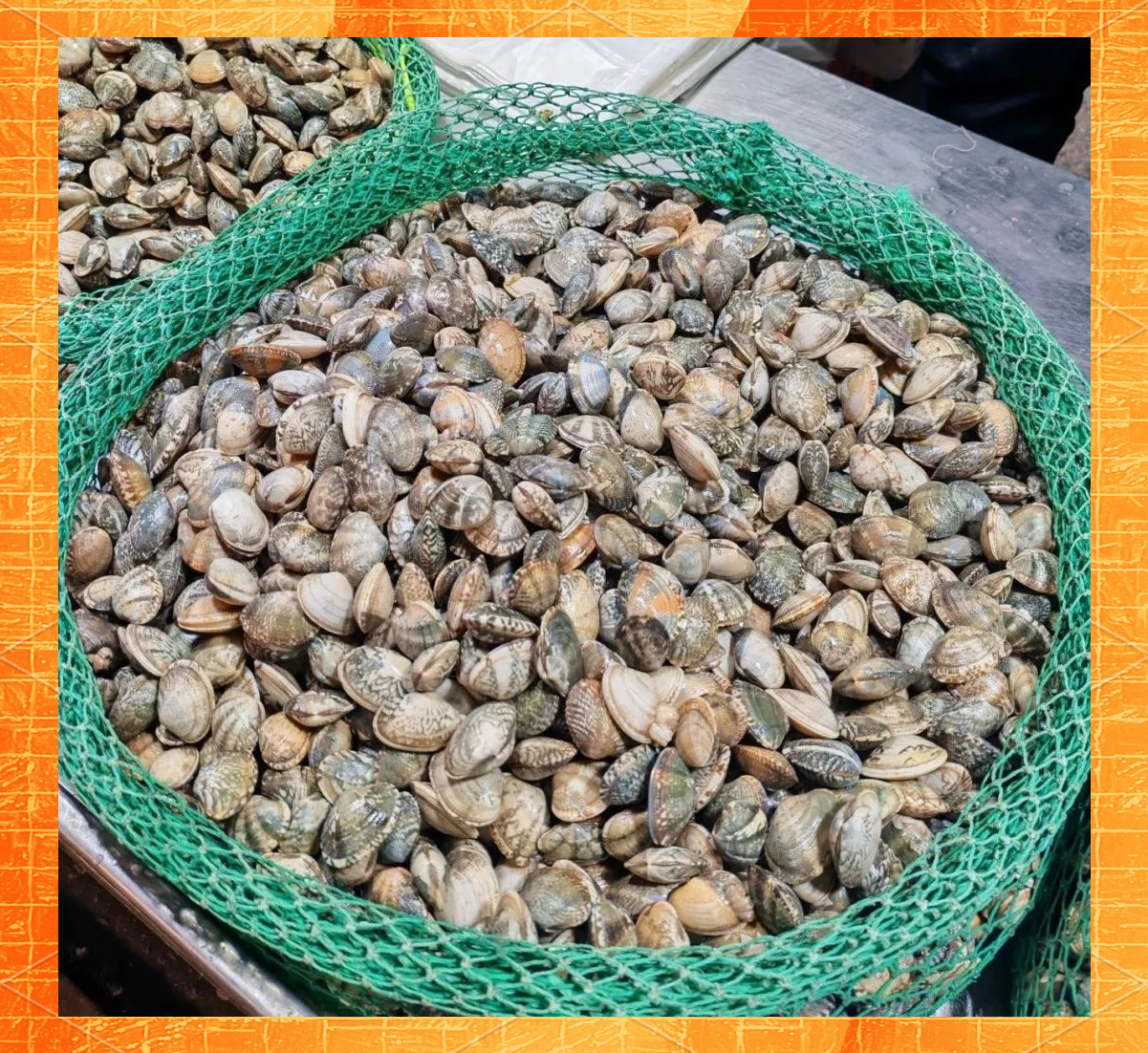 探秘青岛蛤蜊:众多海鲜中的佼佼者