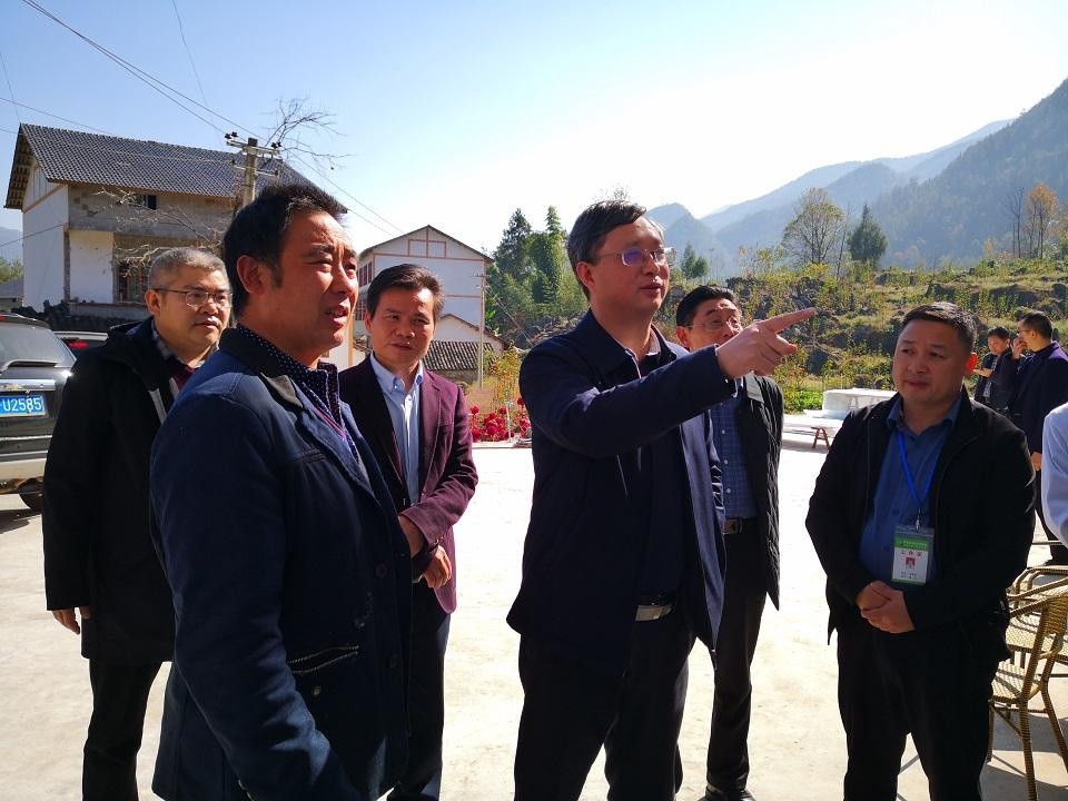 蒋志强调研巫山县,奉节县,云阳县,开州区健康扶贫工作