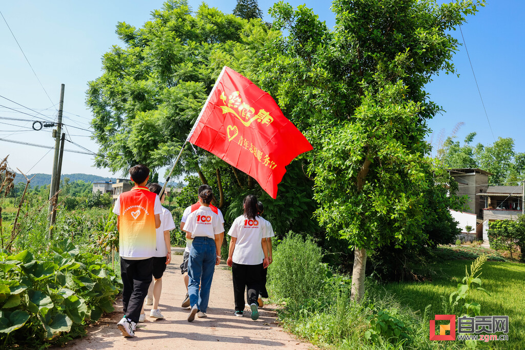 青春旗帜在基层飘扬自贡大学生开展三下乡社会实践