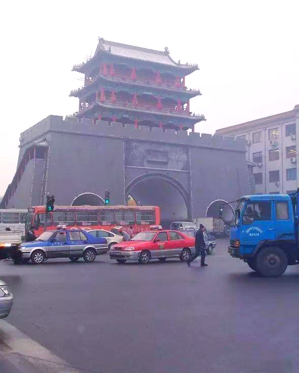 探索沈阳:市花市树,地理特征与文化传承