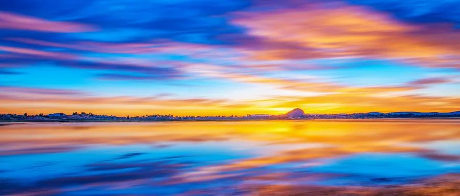 张亚凌:"牵牛紫"里长出的美好