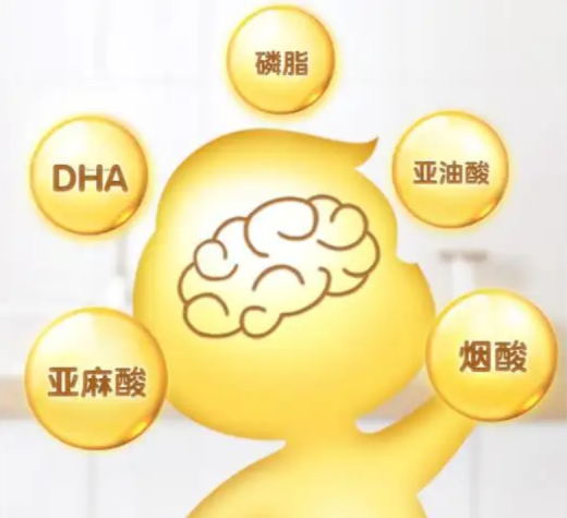 宝宝的聪明和dha补得多有关吗?dha功效作用