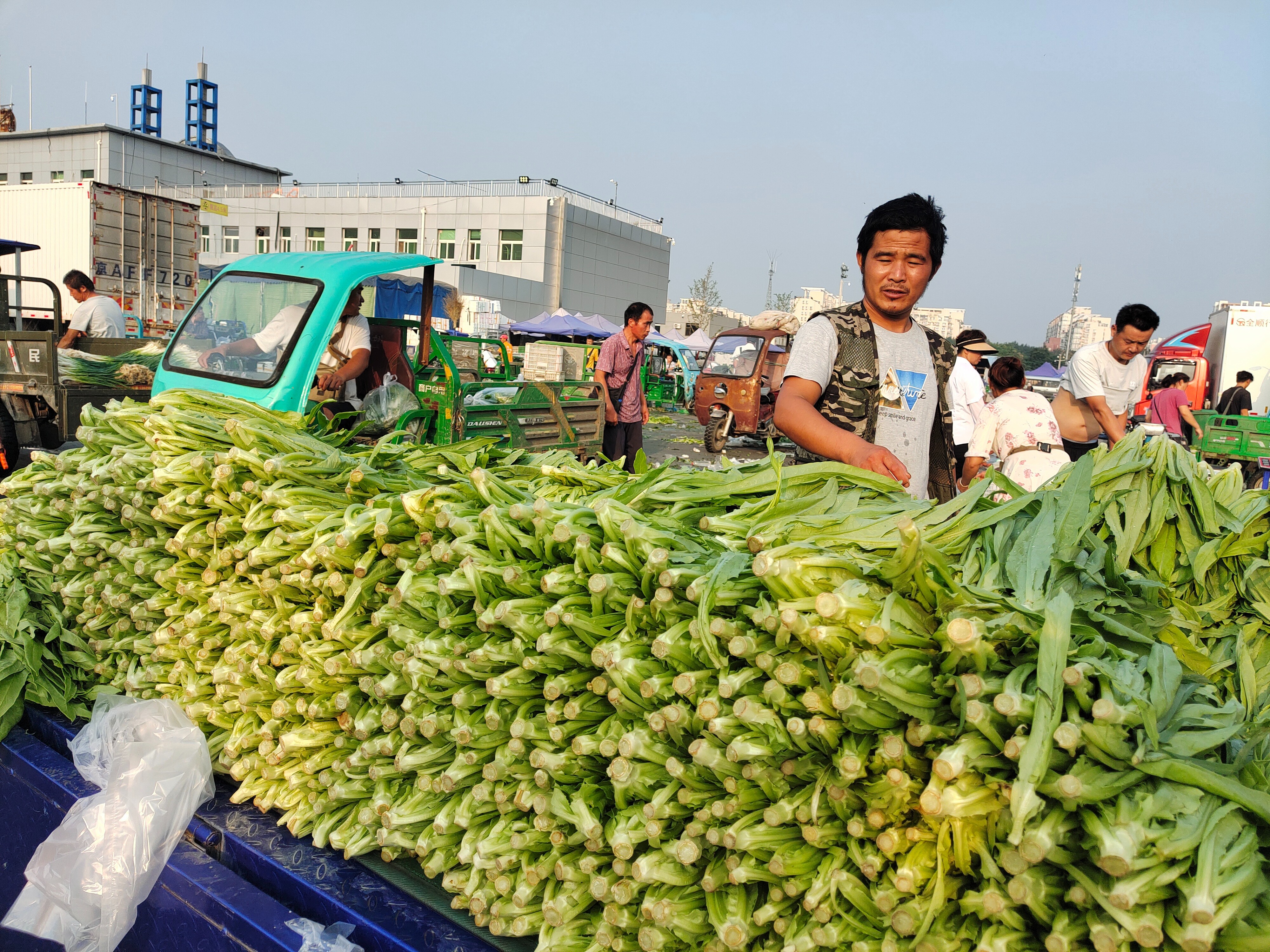 北京新发地蔬菜上市量充足,价格开始回落