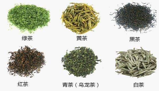 先说种类:茶叶一般按照发酵程度,分为绿茶,白茶,黄茶,青茶(乌龙茶)