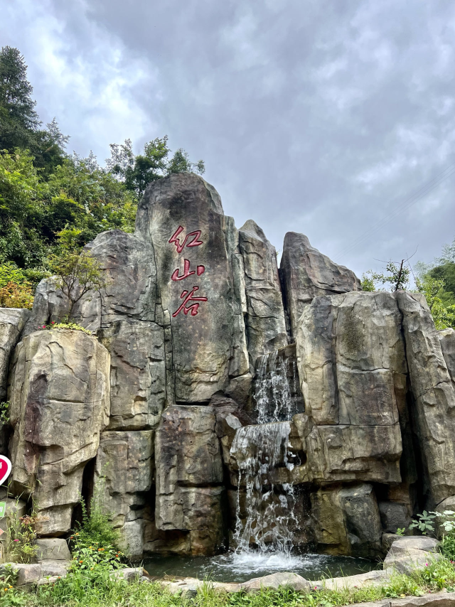 杭州首开千岛湖红山谷景区高铁旅游专列,300余位游客开启沉浸式森林