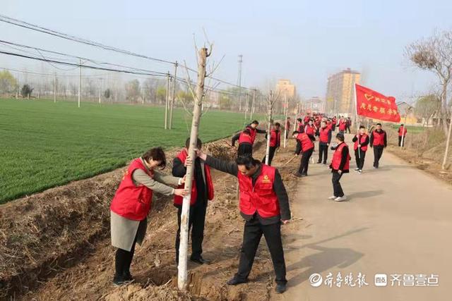 菏澤鄆城:春風十里 紅旗飄揚綠意濃