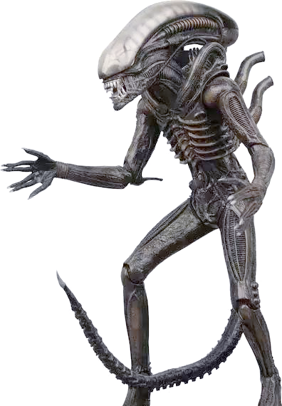 异形40年:电影中的异形文化与科学解析