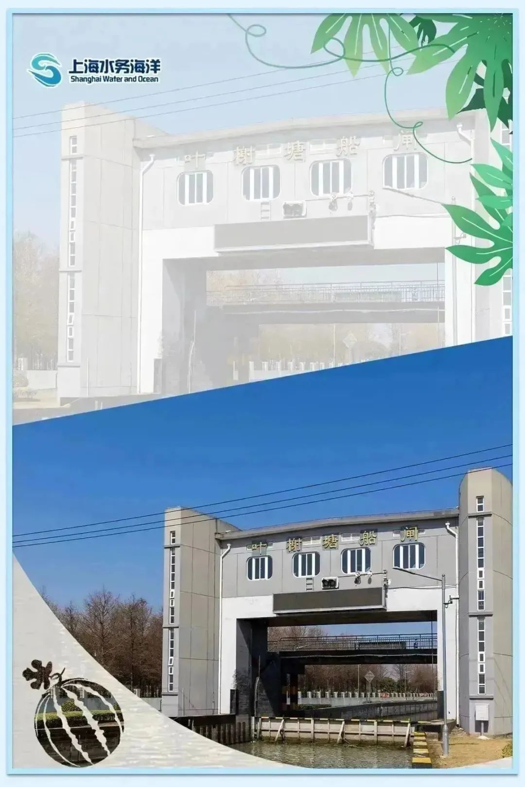 水韵61节气|暑盛至极 顺颂夏祺