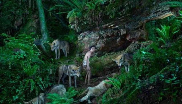 中国偏远地区的狼孩现象