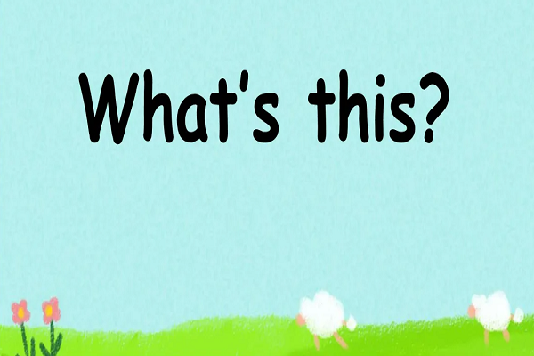 whatsthis?是什么意思