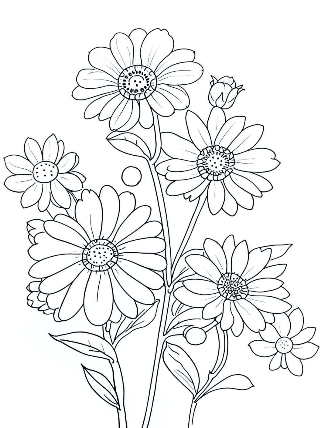 精选花卉线稿黑白简笔画线描作品,附详细绘画技巧解析