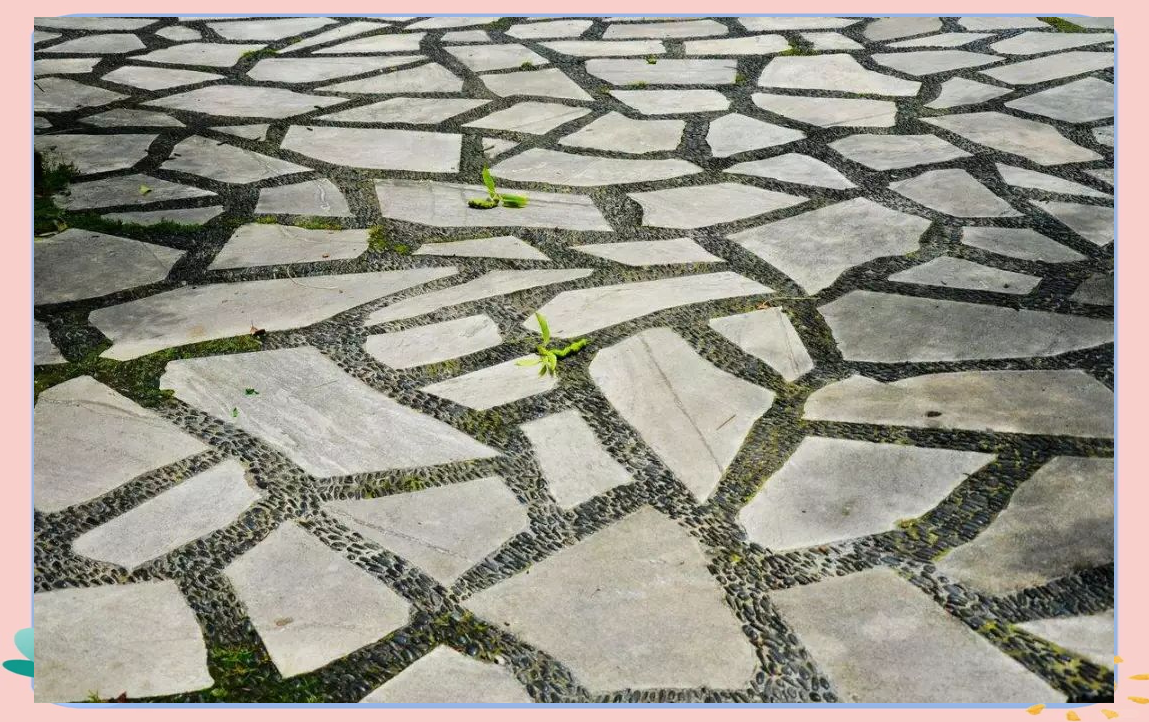 园林铺装知识大全:从基本到技巧,一网打尽!