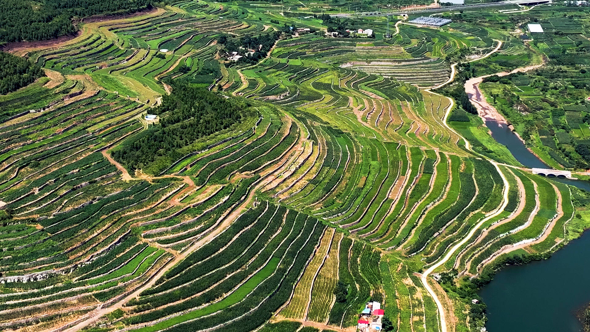 航拍枣庄洪门梯田 逶迤层叠如大地指纹