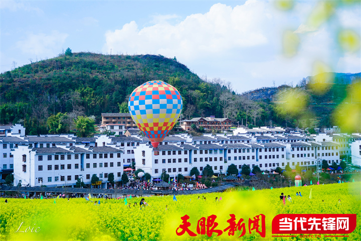 正安县杨兴镇:油菜花开引客来 农旅融合走"兴"路