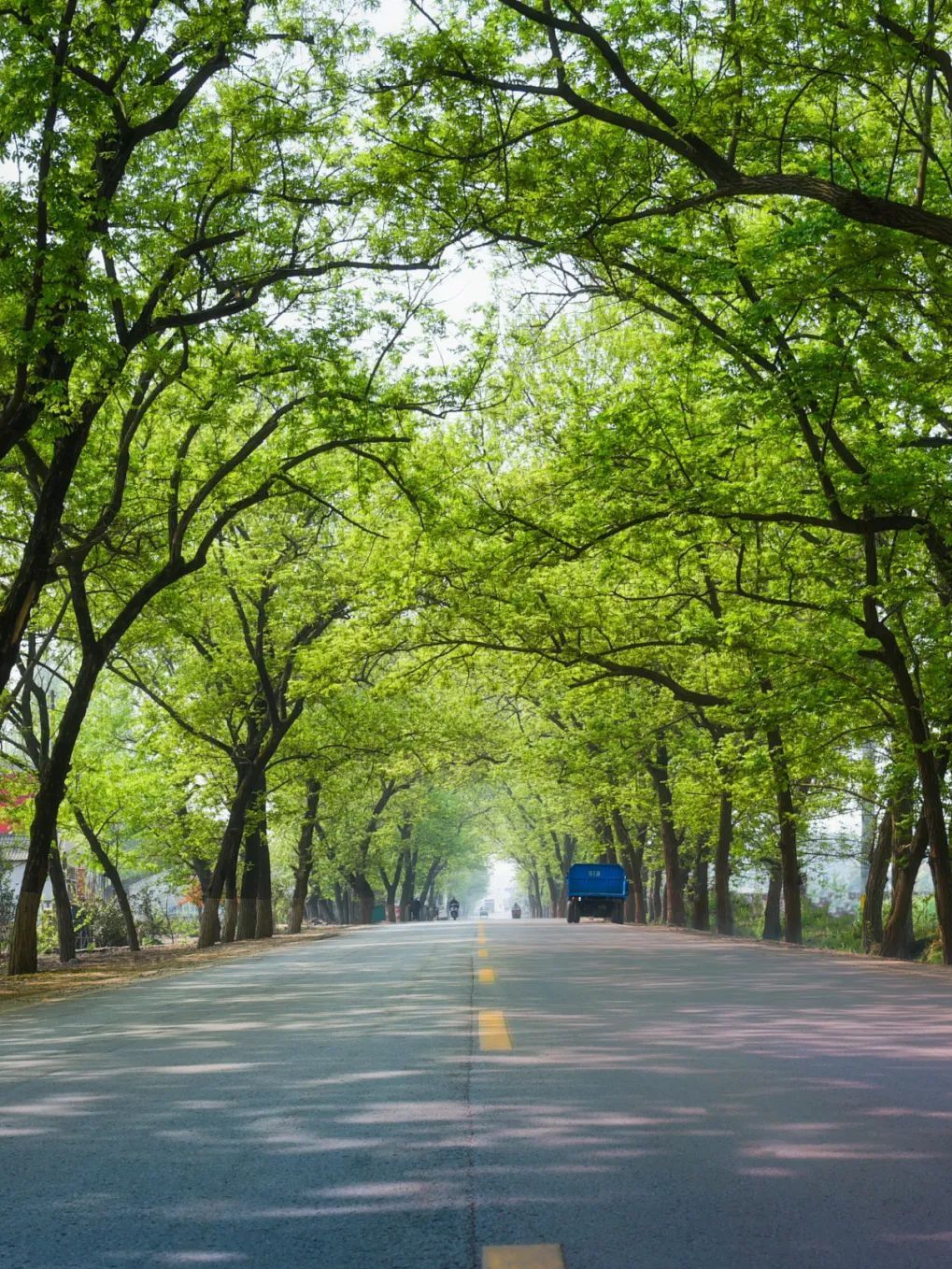 一聚一离别,一喜一伤悲