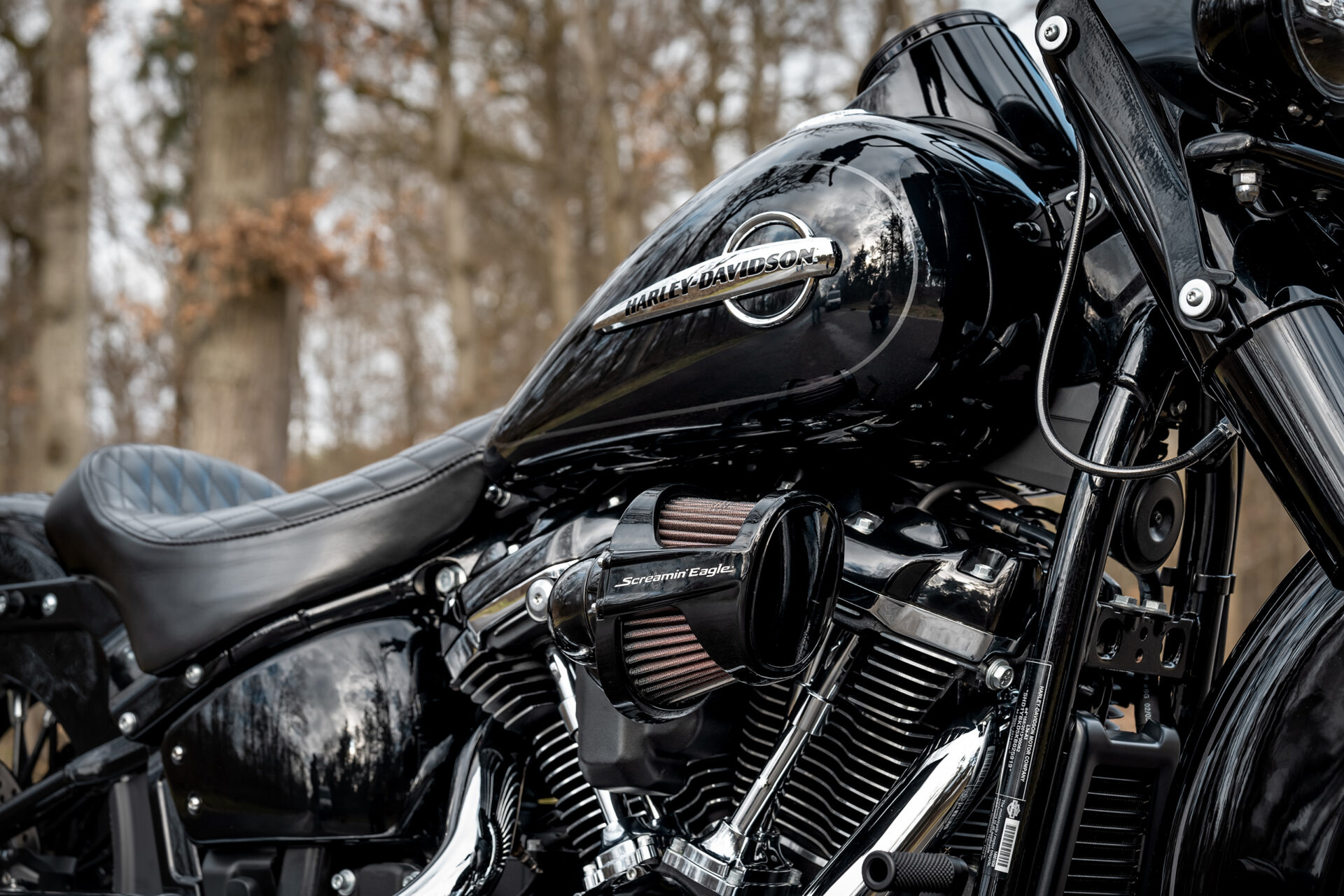 黑翼black wing 哈雷继承者轻度chicano改装欣赏