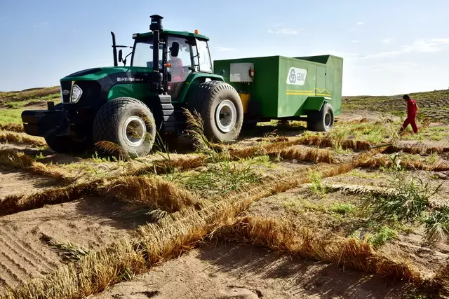 人们发现用麦草,稻草,芦苇等材料在沙漠中扎成方格,可以起到防风固沙