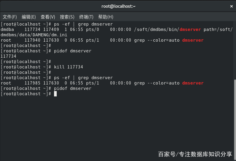 linux进程kill9杀不掉