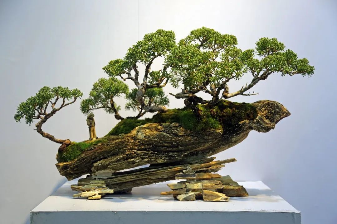 协会60周年发展回顾历史介绍版块,海派盆景非遗传承人作品展示版块