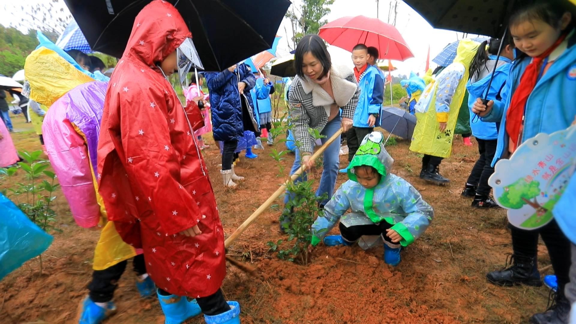 「植樹節 我們在行動」臨武縣六完小師生到黃龍山開展植樹活動