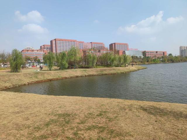 南昌大学第一附属医院象湖院区风景