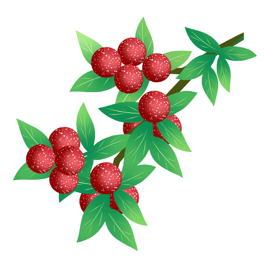 关于杨梅的消费提示