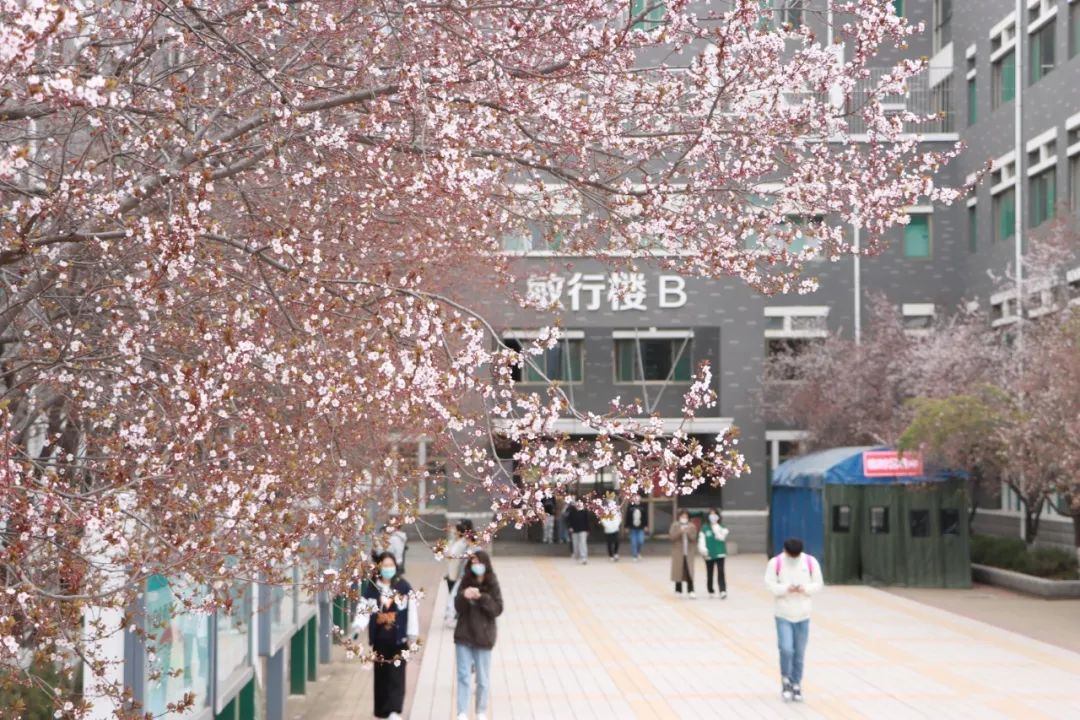 山东青年政治学院2024年公开招聘工作人员简章博士