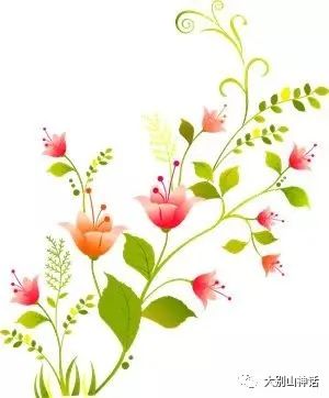 朱淼淼:我用尽全力过着平凡的一生