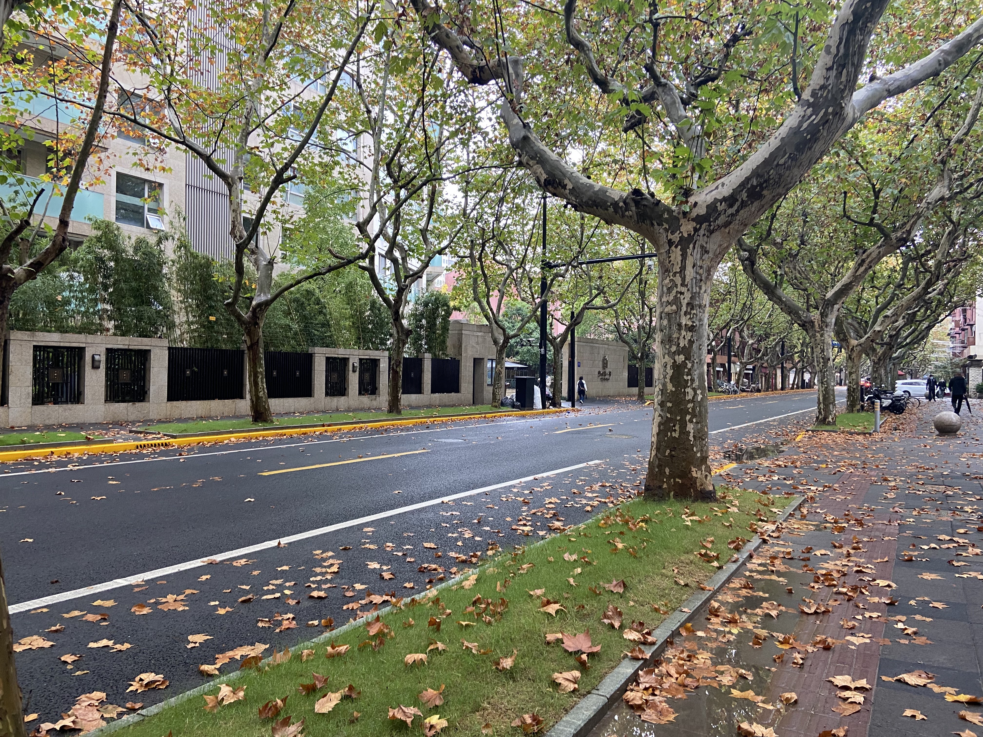 上海冬天街景图片图片